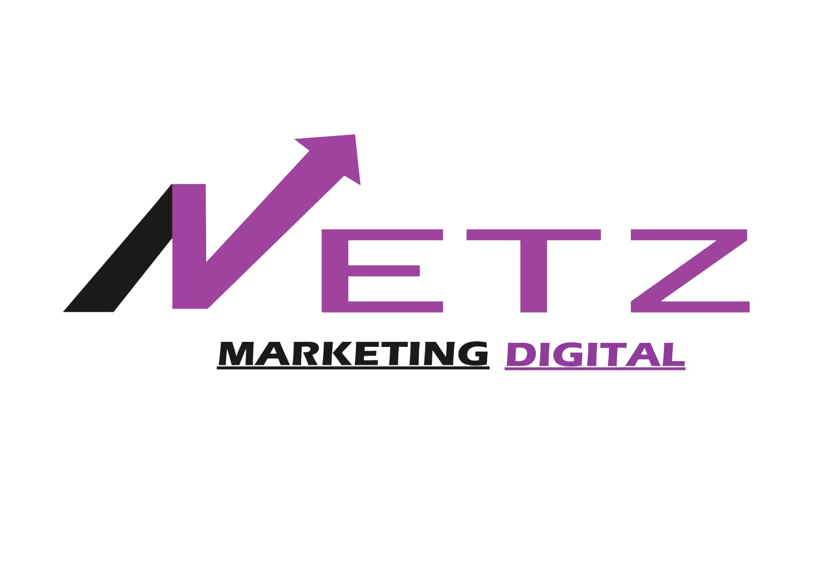 Netz Marketing Digital